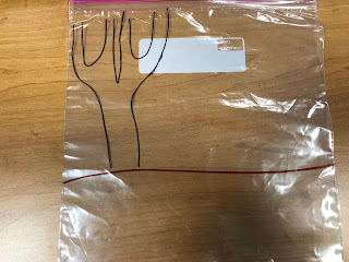 ziplock bag with tree outline and ground level line drawn on