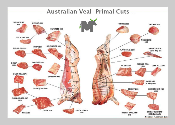 Taste of Ministry: Veal Parts Chart