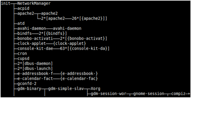 Step out from LINUX issue: What are PID and PPID? / Child and Parent