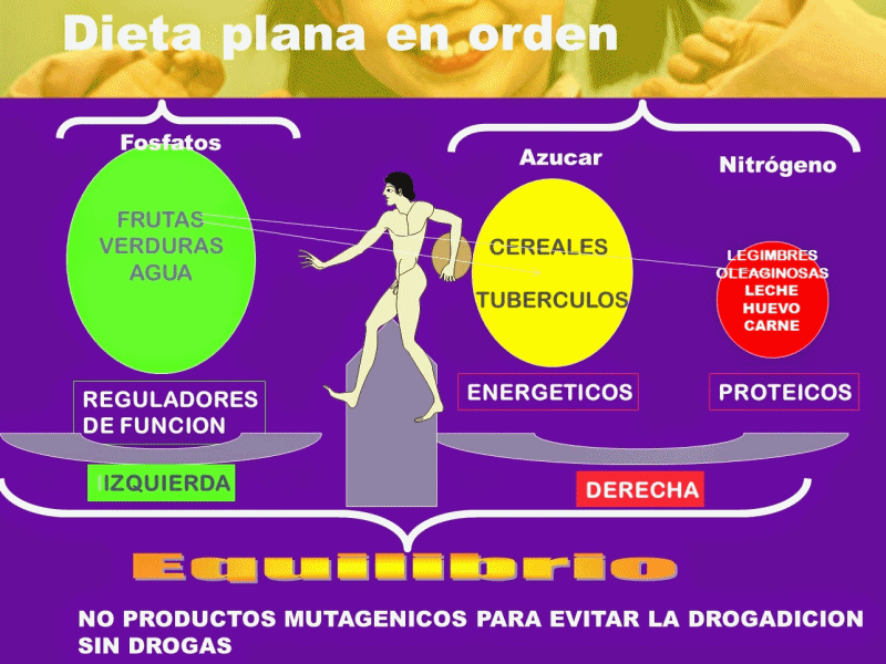 pablo-montini-recetas-para-aplicar-en-la-dieta-plana