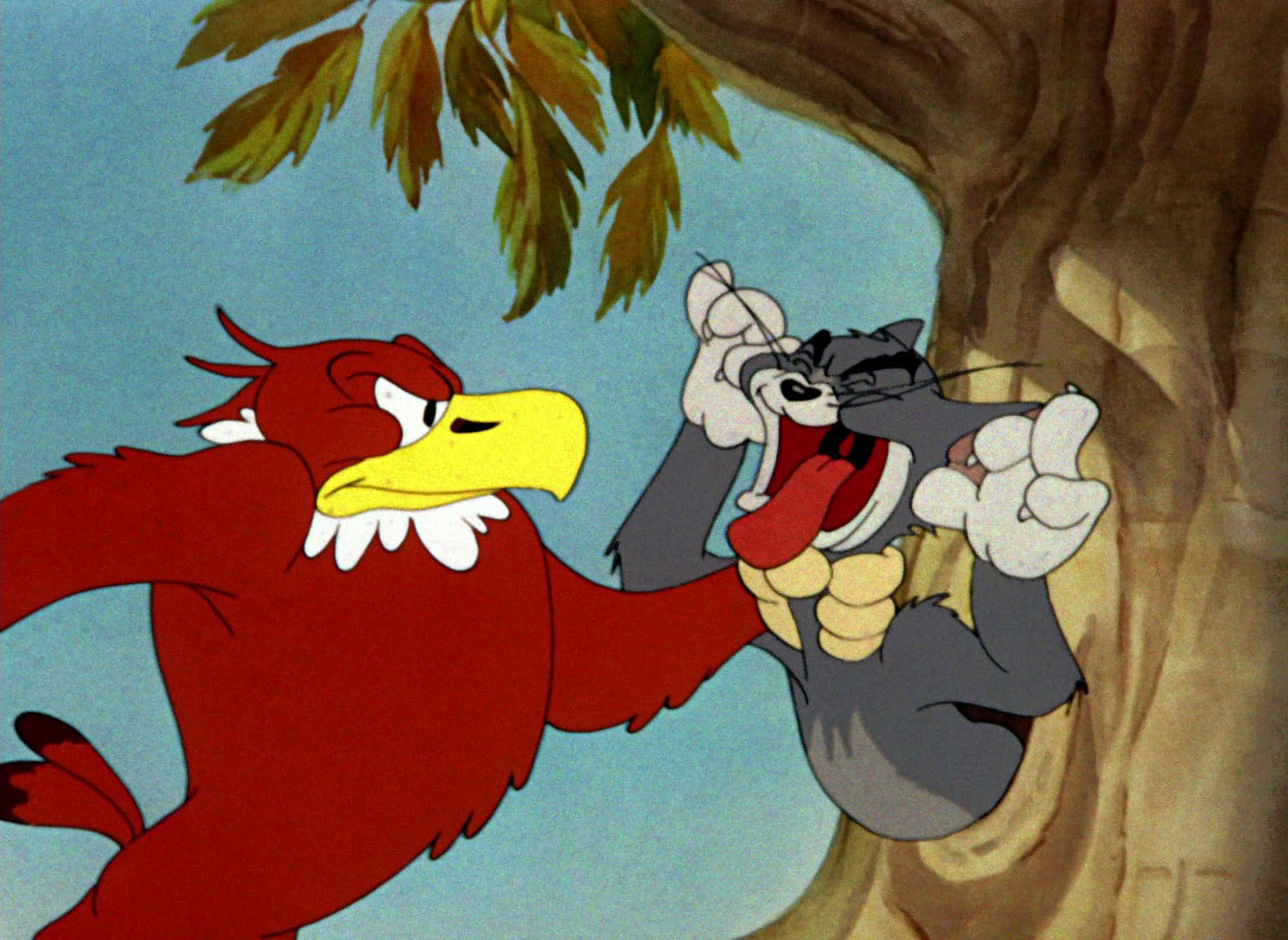 джерри птичка том и джерри. том и джерри кокетливая птичка. том и джерри серия с канарейкой. том и джерри птички. том и джерри 1945.