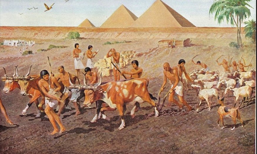 Egipto La economía