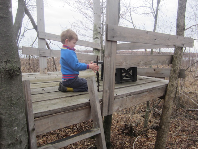 The Woods Parents Guide Cabin In The Woods