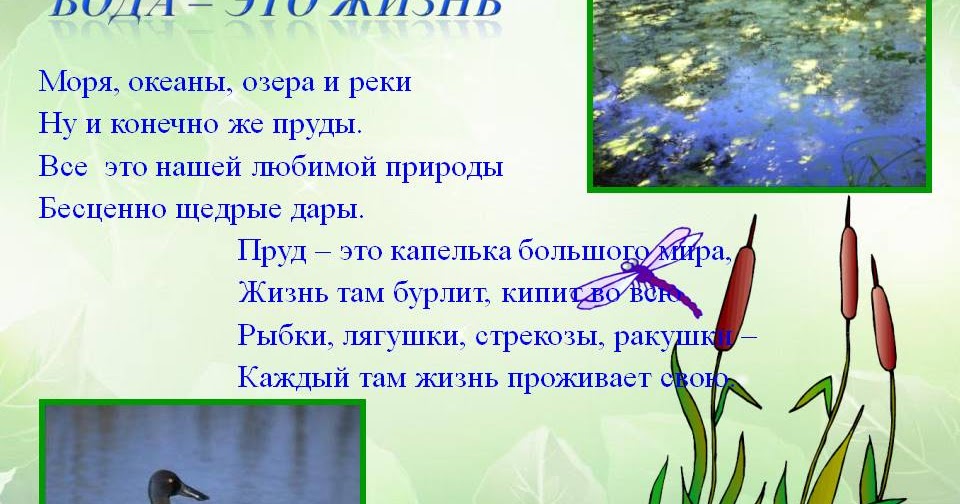 Водные богатства красота