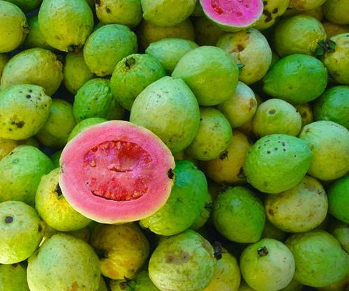 Increíble Fruta Guayaba Propiedades Beneficios