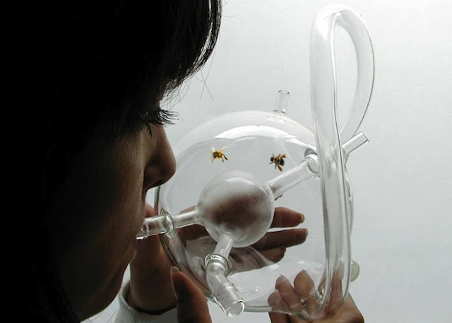 Subhanallah! Ternyata Ada Binatang yang Dapat Mendeteksi Penyakit Kanker, Binatang Apakah Itu? Subhanallah! Ternyata Ada Binatang yang Dapat Mendeteksi Penyakit Kanker, Binatang Apakah Itu?