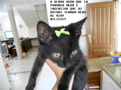 Foto do blog "Borges, o Gato", contra preconceito divulgado pela novela Avenida Brasil