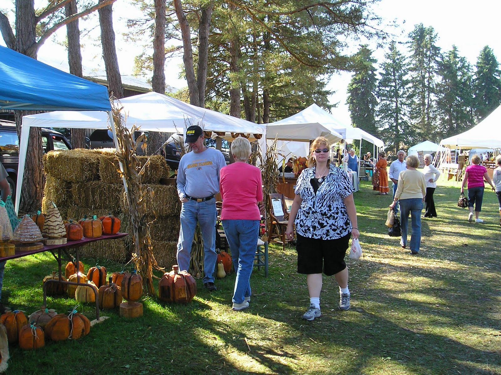 Algonquin Mill Fall Festival Carrollton (Petersburg)