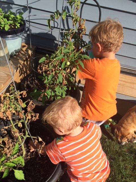 Mom Mumble: Gardening - Is it worth it?