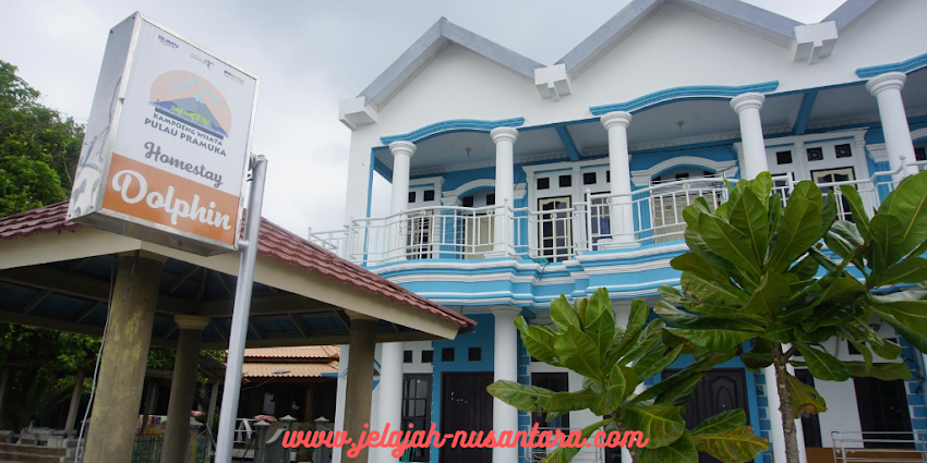 Homestay Dholpin di Pulau Pramuka - wisata gabungan trip pulau pramuka paket wisata murah open trip pulau pramuka 3 hari 2 malam kepulauan seribu selatan