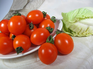menanam tomat