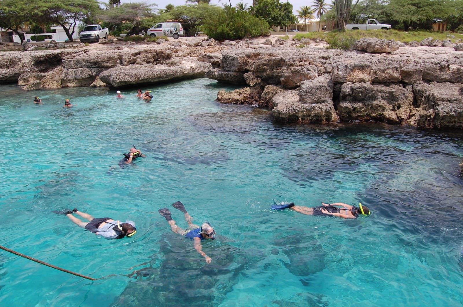 Rich Harrill's Aruba Snorkeling with De Palm Tours