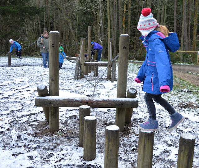 10 of the best family walks in North East England with a cafe and play park nearby - Hamsterley Forest