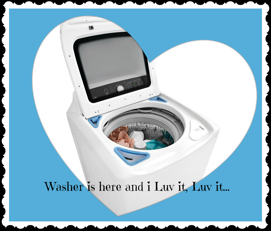 MadSnapper Two Washers In Garage