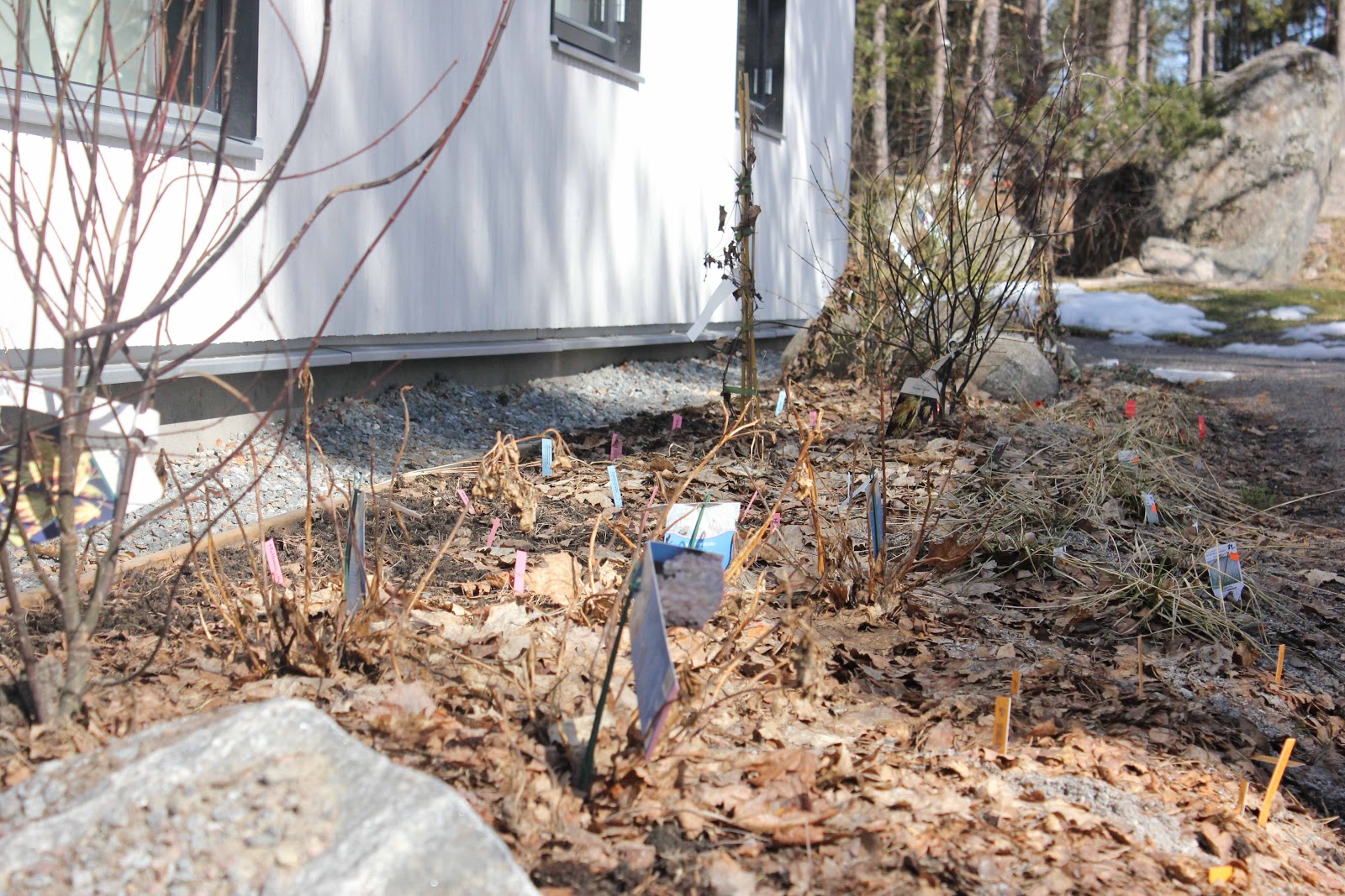 siglinchen: ein spaziergang durch den garten
