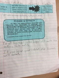 cause and effect with interactive notebooks