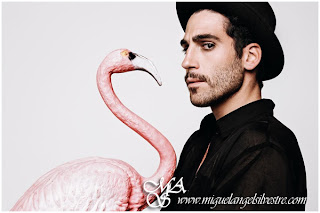 Miguel Angel Silvestre Desnudo