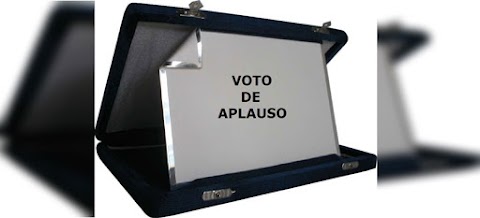 Voto de aplauso e fiscalização em UBS