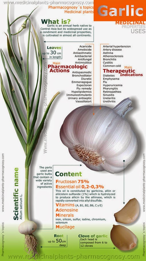 Health & nutrition tips Properties and uses of Garlic