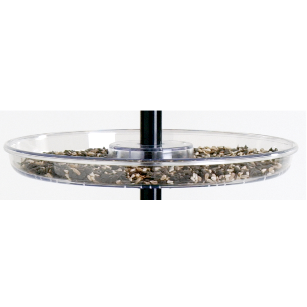 Bird In Everything Bird Seed Tray