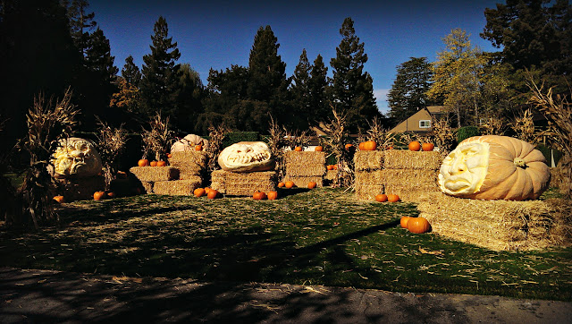 Marissa Mayer's giant Halloween pumpkins