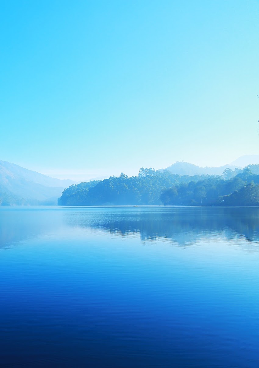 Lake Surrounded With Green Leafed Trees Lake Surrounded With Green Leafed Trees