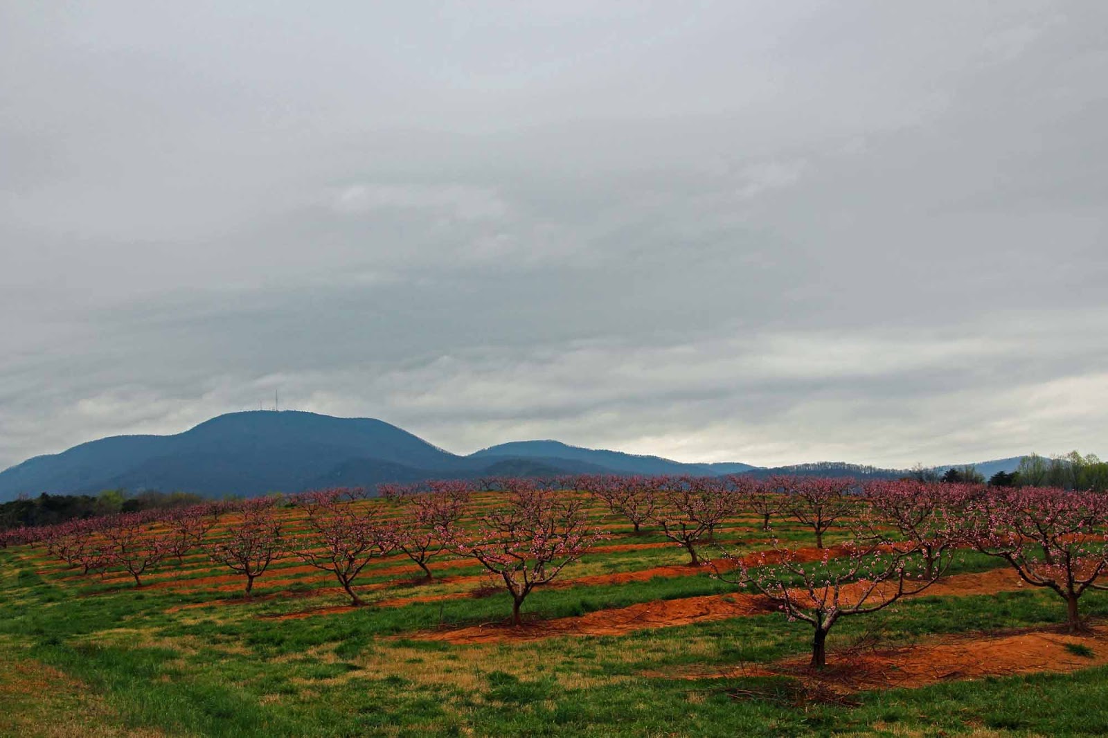 The Adventures of Bushwhack Jack 20160319 Rocky Bottom Creek