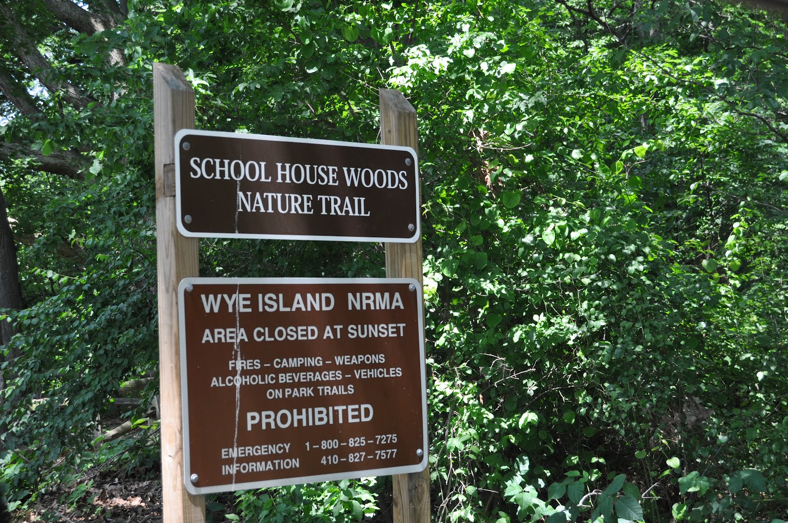 d.a.m.n. gynr! our family hiking/biking/etc. blog Wye Island NRMS