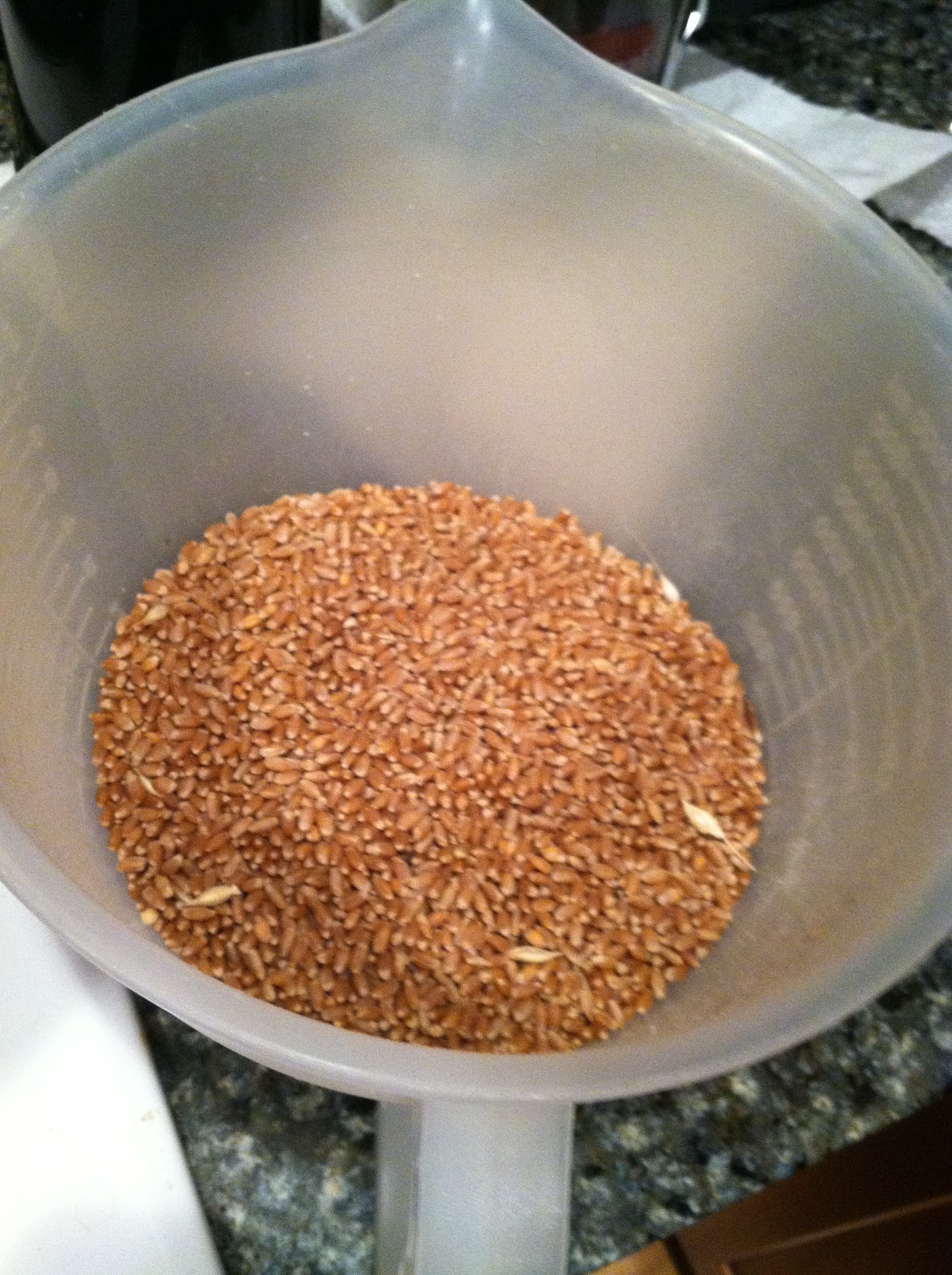 The Bread Maiden Pressurecooker wheat berries