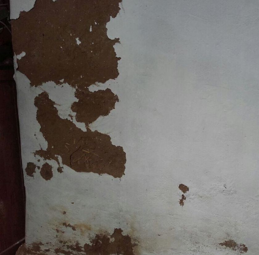 Gutshof Carolinenthal 2017