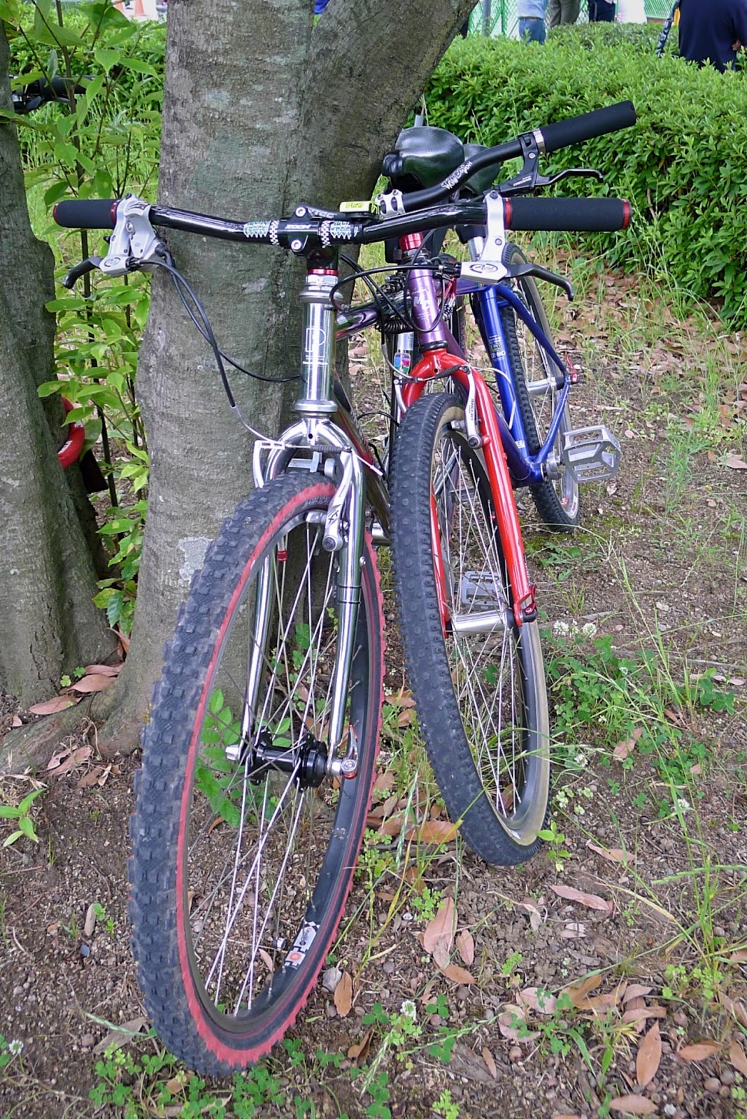 Kinki Cycle Panasonic Mountain Cats