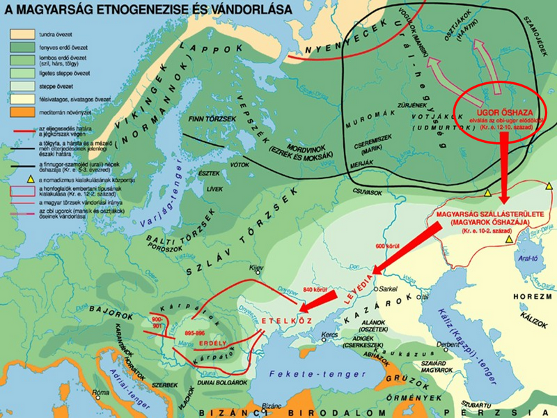 száray miklós történelem i pdf version