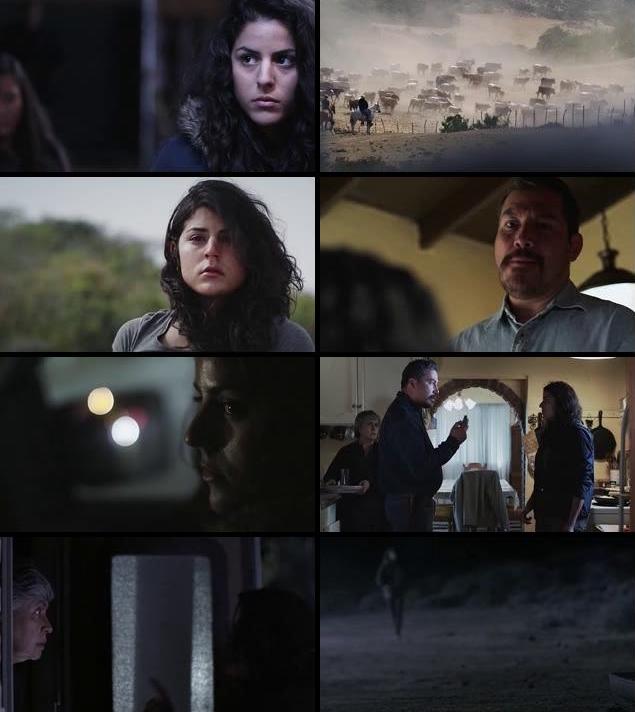 Hostile Border 2015 English HDRip Hostile Border 2015 English HDRip