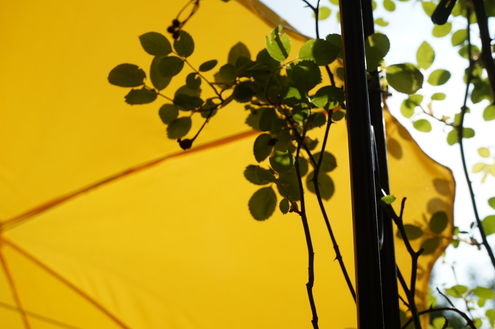 Entschleunigung Im Bezaubernden Maasholm