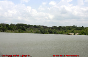 Pedernales River Texas