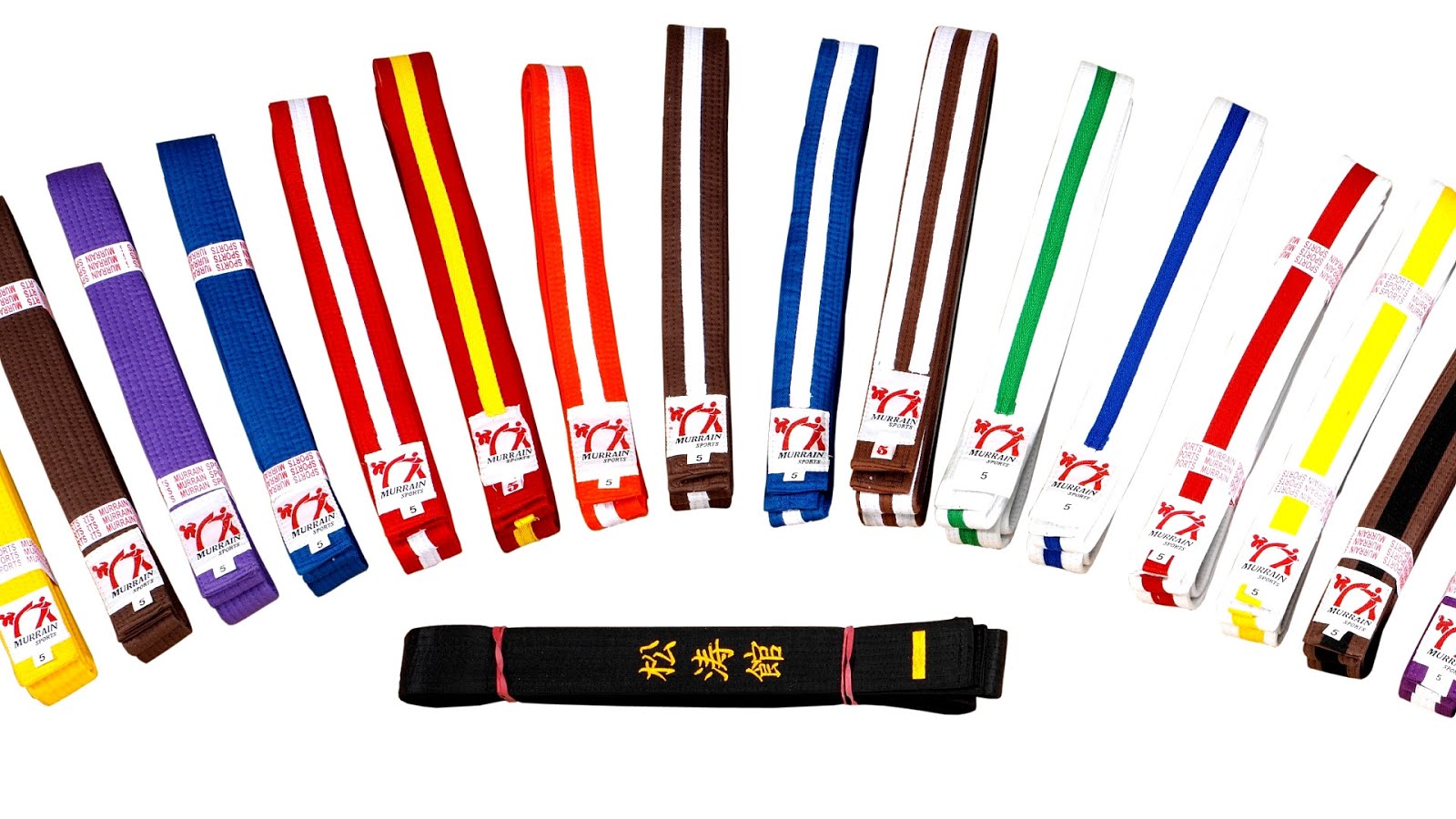 Black belt (martial arts) Karate Karate Choices