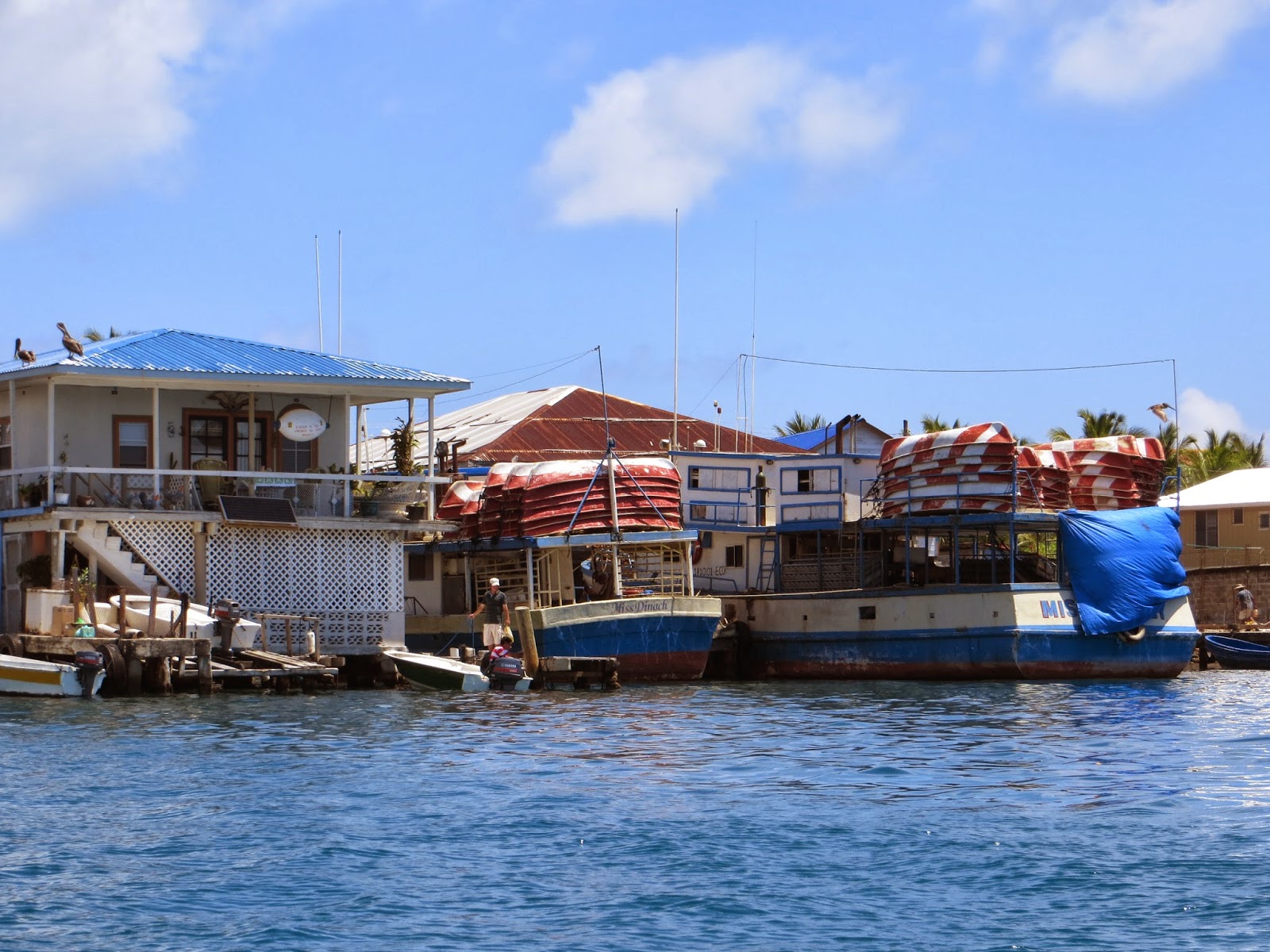 Sailing, sailing,: Bonacca, Guanaja, Honduras