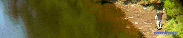 물수제비 세계기록.gif | 인스티즈