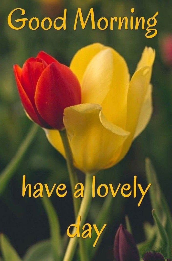 good morning sms with love