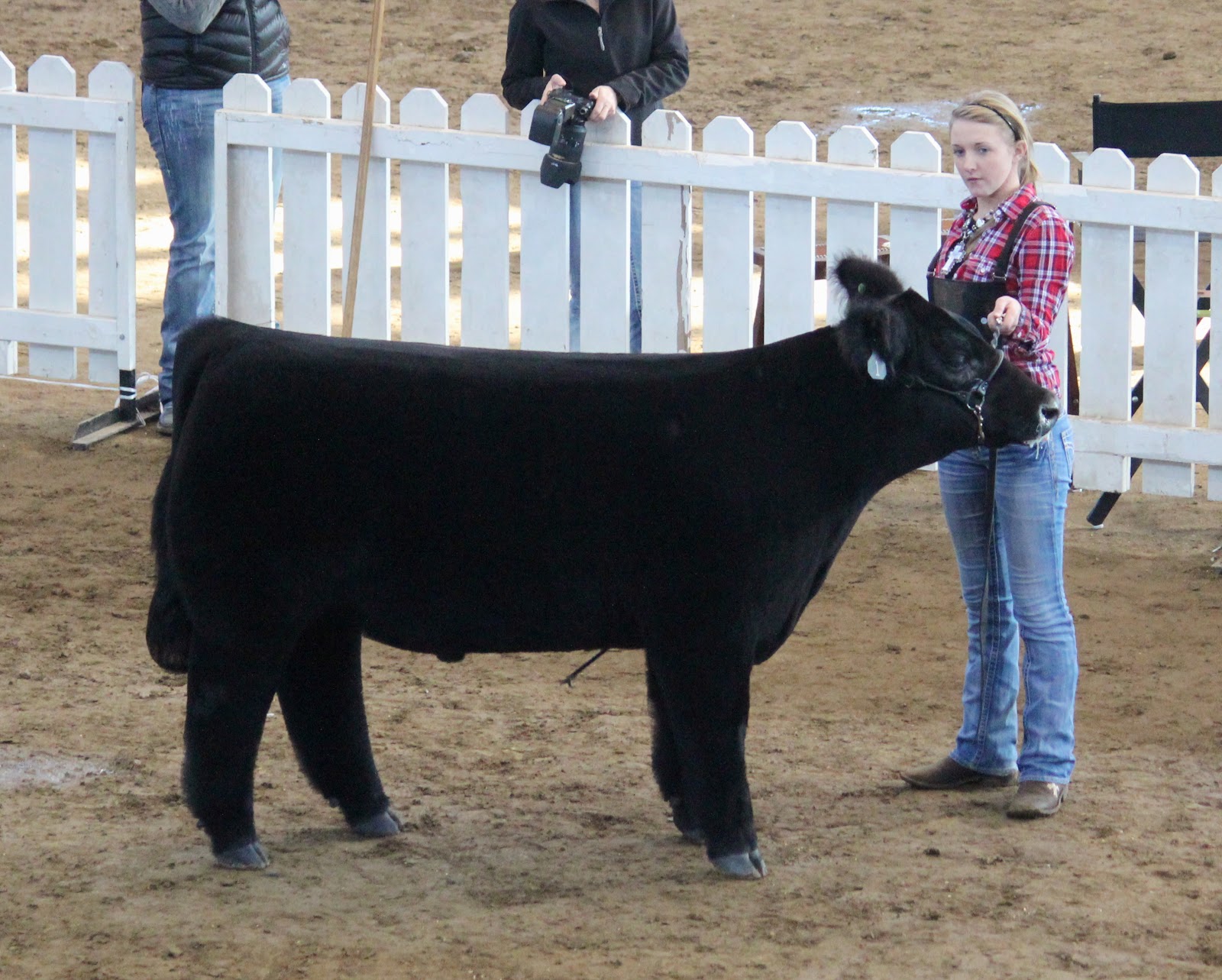 Executive Sires, Inc. 2013 Iowa Beef Expo Champion Xbred Steers