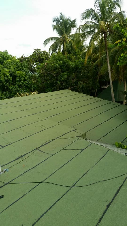 Foto: Reparacion de Terraza con Pintura Impermeabilizante Verde de