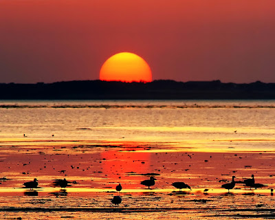 sunset-picture+By+WwW.7ayal.blogspot.CoM+(17).jpg