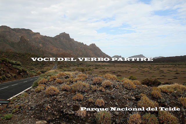DIARIO DI VIAGGIO A TENERIFE E LA GOMERA