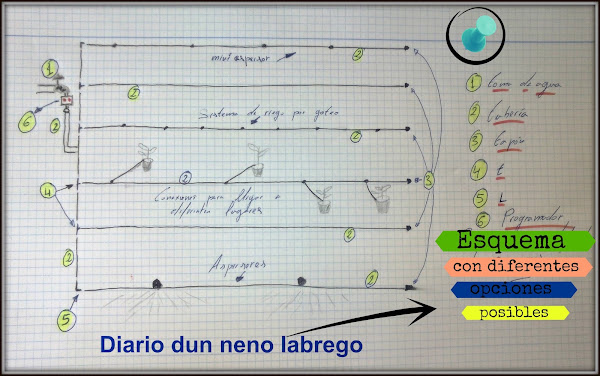 Imagen 0