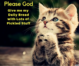 Funny Cat Image Praying for Pickles