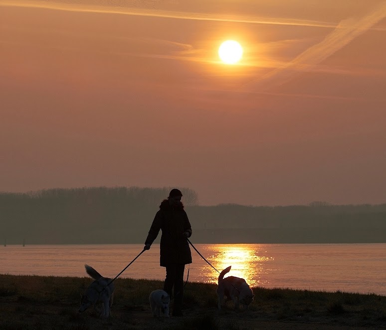 Opkomende Zon