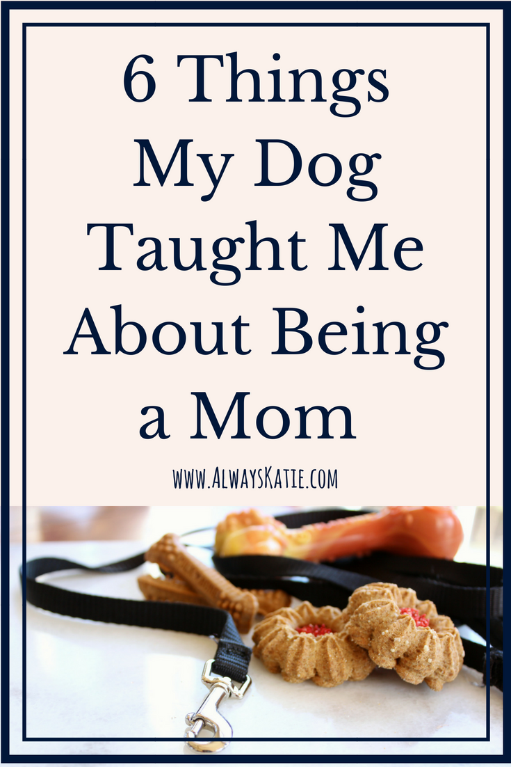 Always, Katie 6 Things My Dog Taught Me About Being a Mom