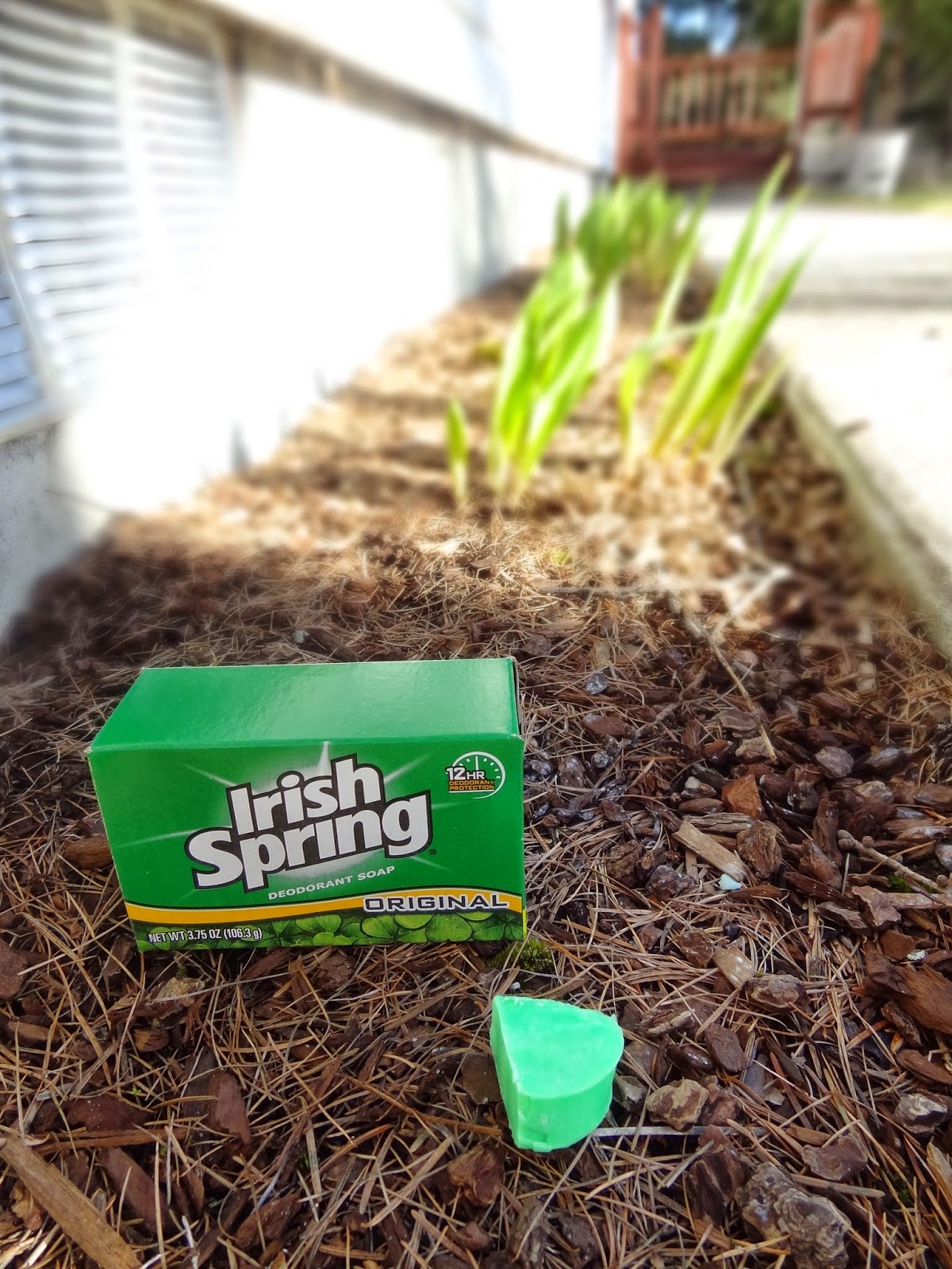 Diy Deer Repellent For Tulips Homemade Deer Repellent For Gardens