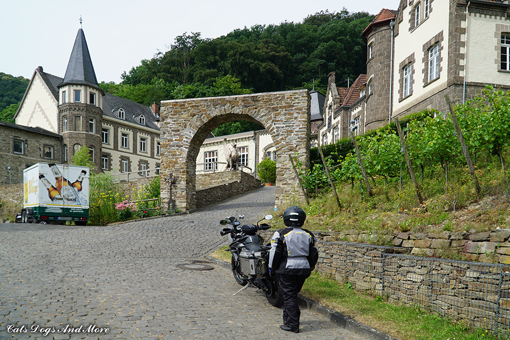 Mittelaltermarkt Melsungen Markte 2020 2020 05 21