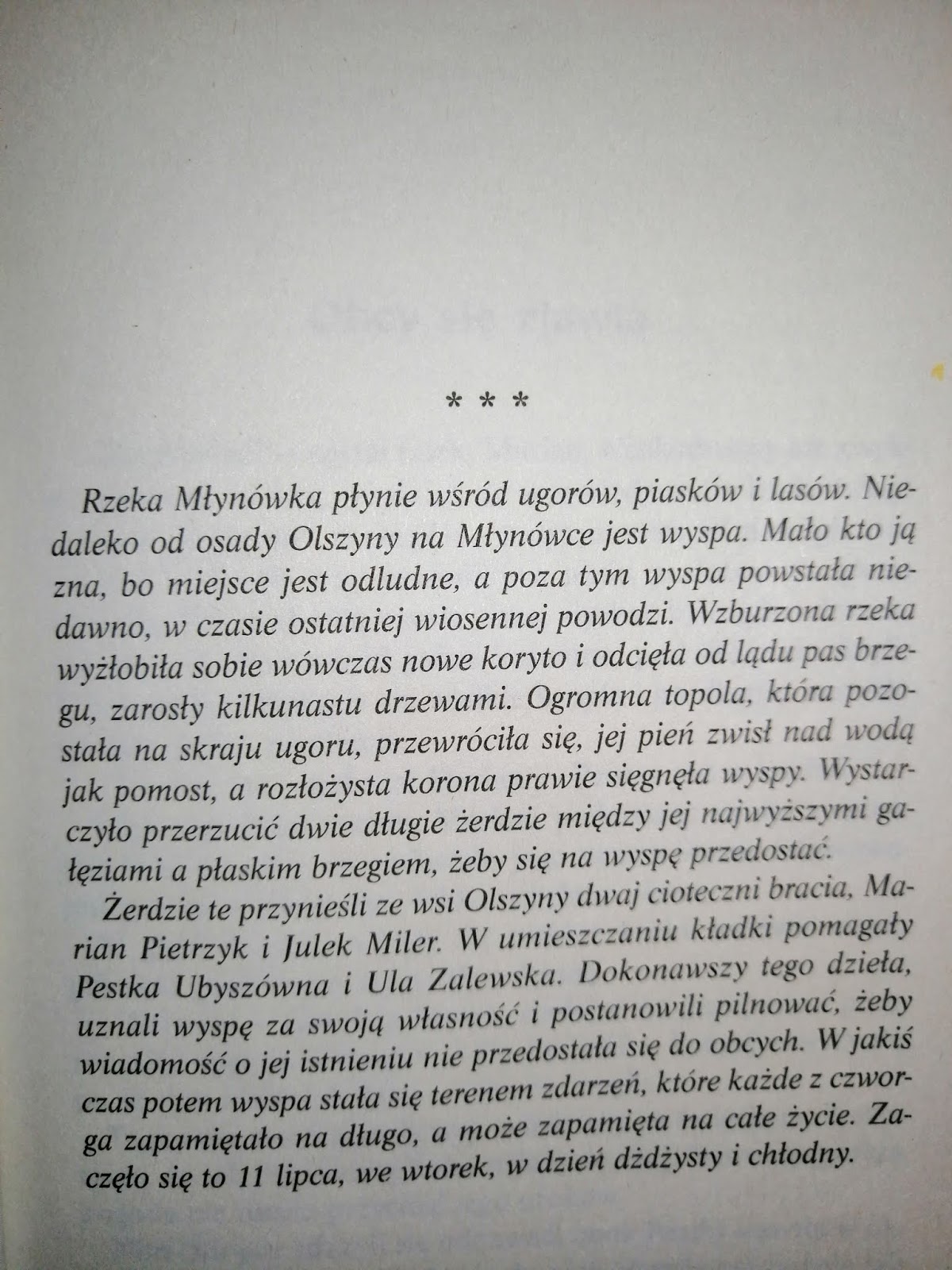 Co To Są środki Poetyckie Egzamin ósmoklasisty z Sebastianem Sową. Materiały z języka polskiego